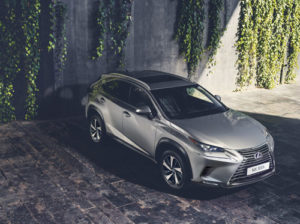 Le Lexus NX300h gris